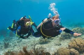6 ADVENTURE DIVER