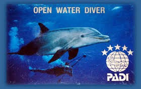 5 OPEN WATER DIVER (nivell de certificació)